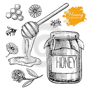 Vector honey set. Vintage hand drawn illustration.