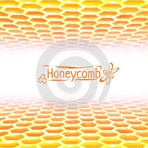 Vector honeycomb background from yellow to white