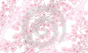 Vector horizontal background with line art sakura branch with  flowers. Hand drawn illustration of romantic sakura cherry blossom