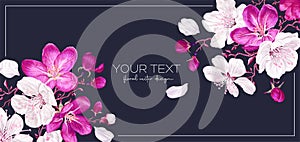 Vector horizontal banner on dark background with pink and white apple blossoms.