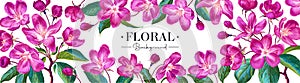 Vector horizontal banner on white background with pink apple blossoms.