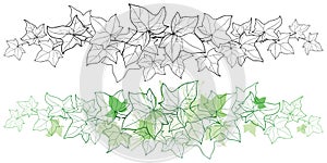 Vector horizontal border of outline bunch Ivy or Hedera vine. Ornate leaf of Ivy in black and pastel green isolated on white.