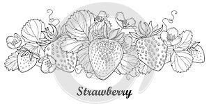 Vector horizontal border with outline Strawberry with berry, flower and foliage in black on white. Berry elements. photo