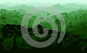 Vector horizontal layered seamless tropical rainforest Jungle forest background