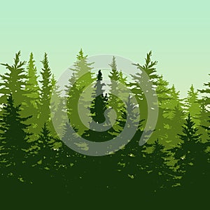 Vector horizontal seamless background with green pine or fir-tree forest. Nature background with evergreen trees.