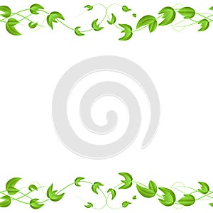 Vector horizontal seamless border with green ivy leaves on white background