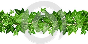 Horizontal seamless garland with ivy leaves. Vector illustration.