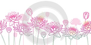 Vector horizontal seamless pattern with outline Lotos or water lily flower, bud and seed pod in pastel pink on the white.