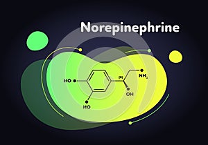 Vector hormones fluid moedrn banner. Norepinephrine structure in liquid gradient trendy shape on black. Hormone associated with