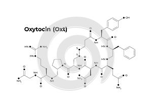 Vector hormones minimalistic banner template. Oxytocin structure black isolated on white background. Hormone assosiated with