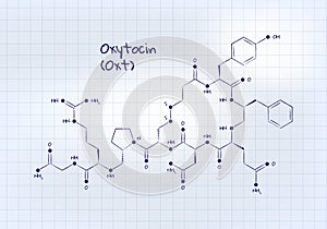 Vector hormones study banner template. Pen drawn oxytocin structure on square notepad background. Hormone assosiated with bonding