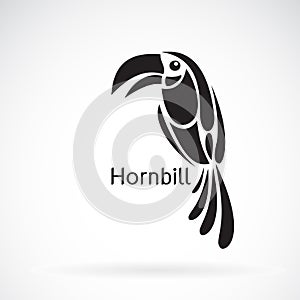 Vector of hornbill design on white background. , Wild Animals.