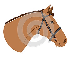 Vector horse