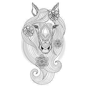 Vector Horse. Coloring page with Horse face. Hand drawn patterne