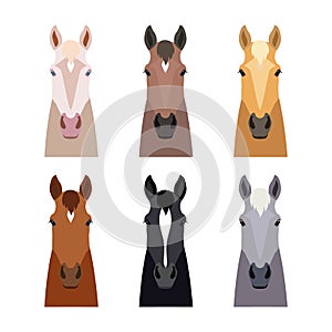 Vector horse head set. Flat, cartoon style object. Different colors