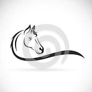 Vector of a horse head on white background. Animal