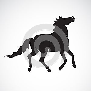 Vector of a horse isolated on white background. Wild Animals.