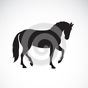 Vector of a horse isolated on white background. Wild Animals.