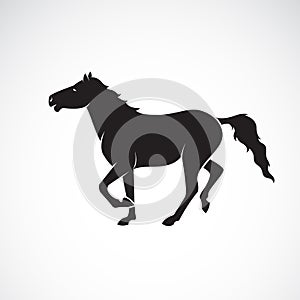 Vector of a horse isolated on white background. Wild Animals.