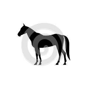 Vector horse silhouette view side for retro logos, emblems, badges, labels template vintage design element. Isolated on white