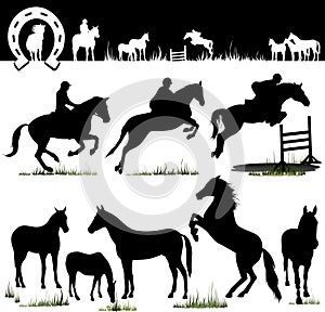 Vector Horse silhouettes