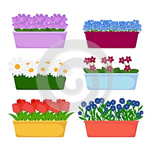 Vector house and garden flowers in long pots vector isolated on white background