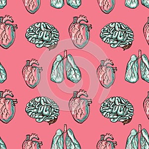 Vector human healthy lungs, heart, brain seamless pattern