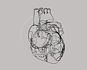 Vector human heart pen drawing stylized illustration