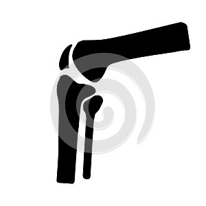 Vector human knee joint side view