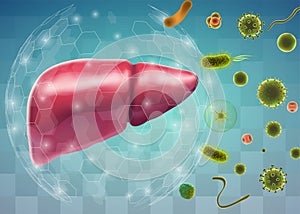 vector human liver, volumetric 3d organ for drugs and medical news