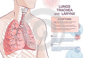 Vector human Respiratory System