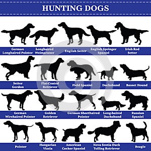 Vector hunting dogs silhouettes