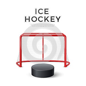 Vector ice hockey goal with net 3d puck