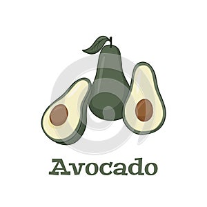 Vector icon of avocado. avocado fruit in flat design. vector illustration