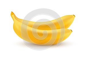 Vector Icon of Bananas isolated on white in realistic style - Illustration of closeup fresh tropical fruits.