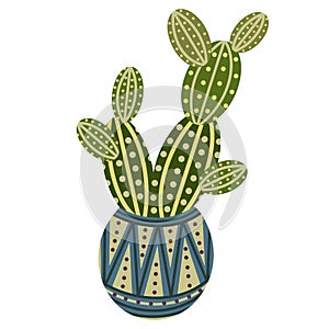 Vector icon of a cactus in a pot. Isolated image of an indoor flower on a white background. Green cactus with thorns in a ceramic