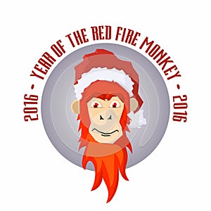 Vector icon concept of red fire mokey. photo