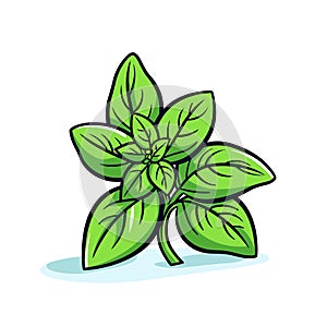 Vector icon of a fresh sprig of basil on a clean white background