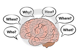 Vector icon of the human brain with questions.