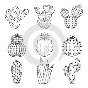 Vector icon set of contour cactus and succulent