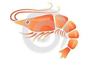 Vector icon of shrimp for Asian food. Vector illustration of shrimp in flat style