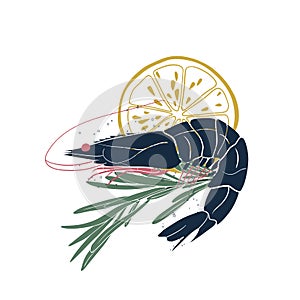 Vector icon with shrimp, rosemary and lemon slice isolated on white background. Seafood illustration for your design