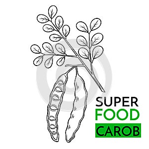 Vector icon superfood carob