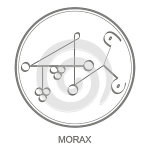 Vector icon with symbol of demon Morax