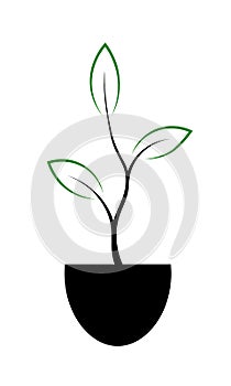 Vector icon of a young sprout with three leaves. Linear illustration isolated on white background