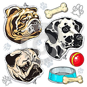 Vector icons colored dog, bulldog, pug, Dalmatian and a bowl of bone