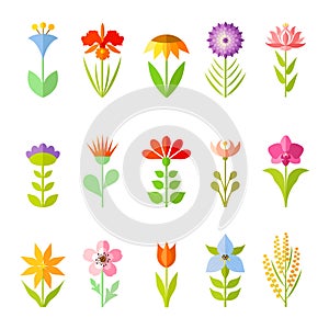 Vector icons of flowers. Different in shape and design flowers.