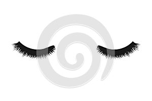 Vector illstration of eyelashes on white background. Isolated.