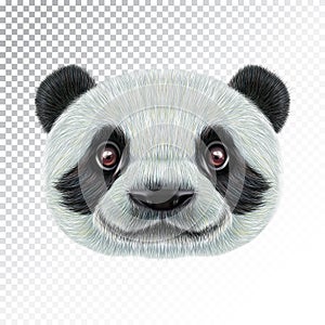 Vector Illustrated face of Panda.