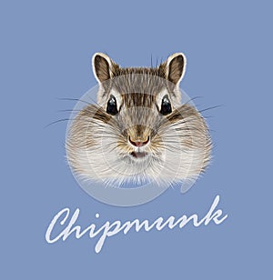 Vector Illustrated portrait of Chipmunk